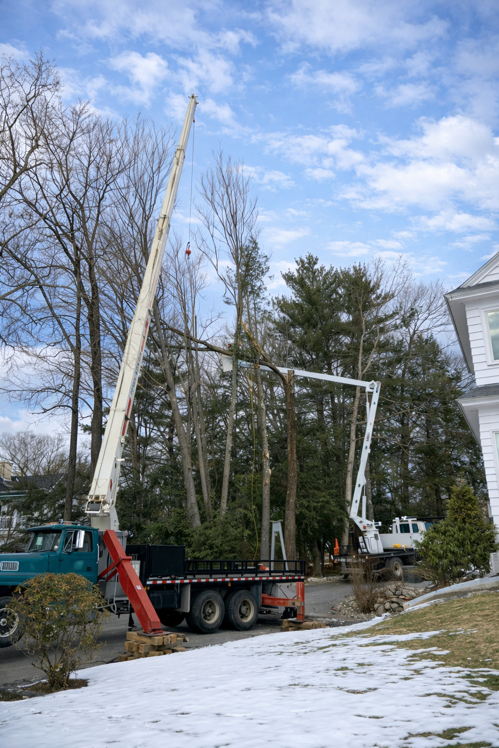 Tree Removal Equipment